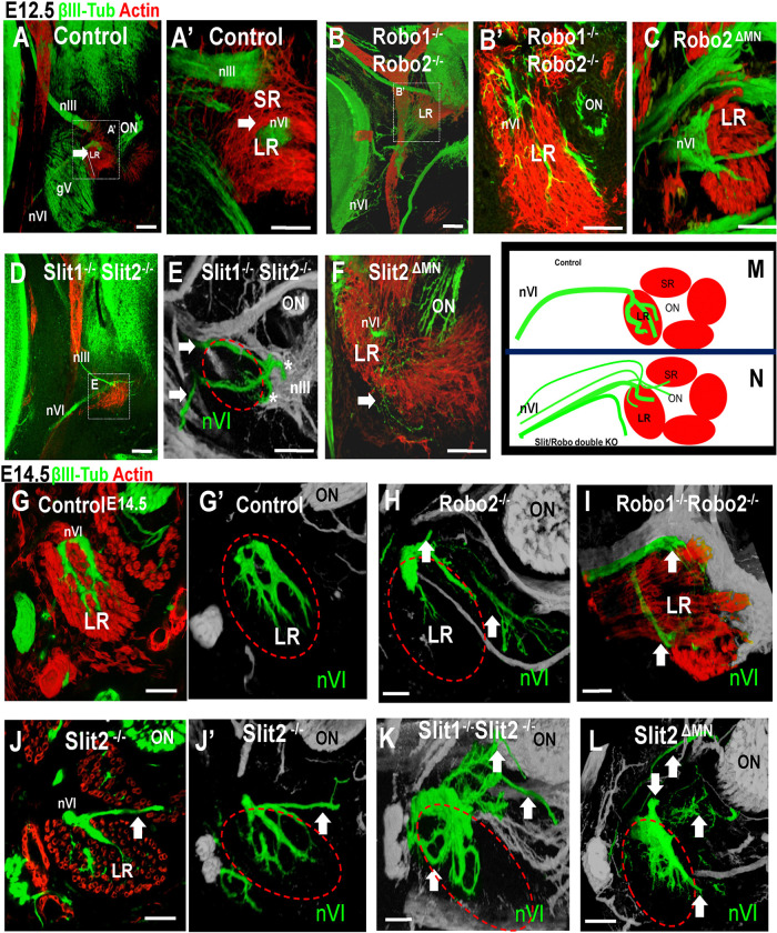 Figure 11