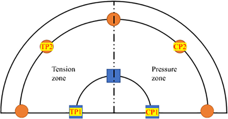 Fig 9