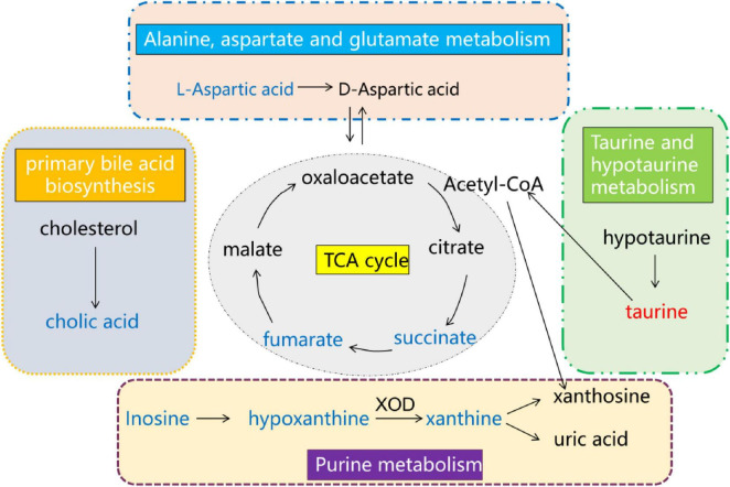 FIGURE 11