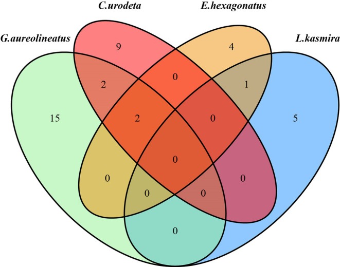 FIGURE 4