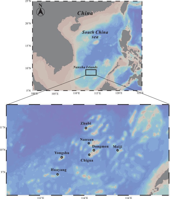 FIGURE 1