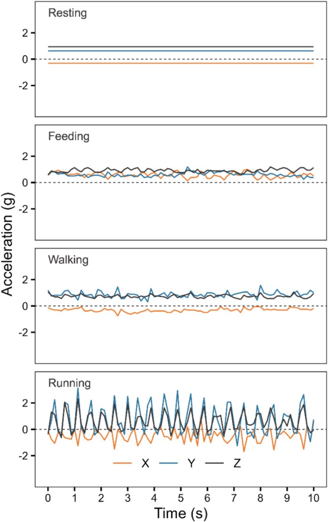 FIGURE 1