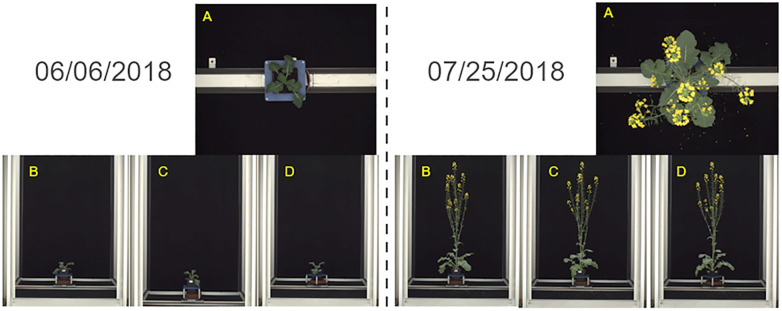 Figure 1