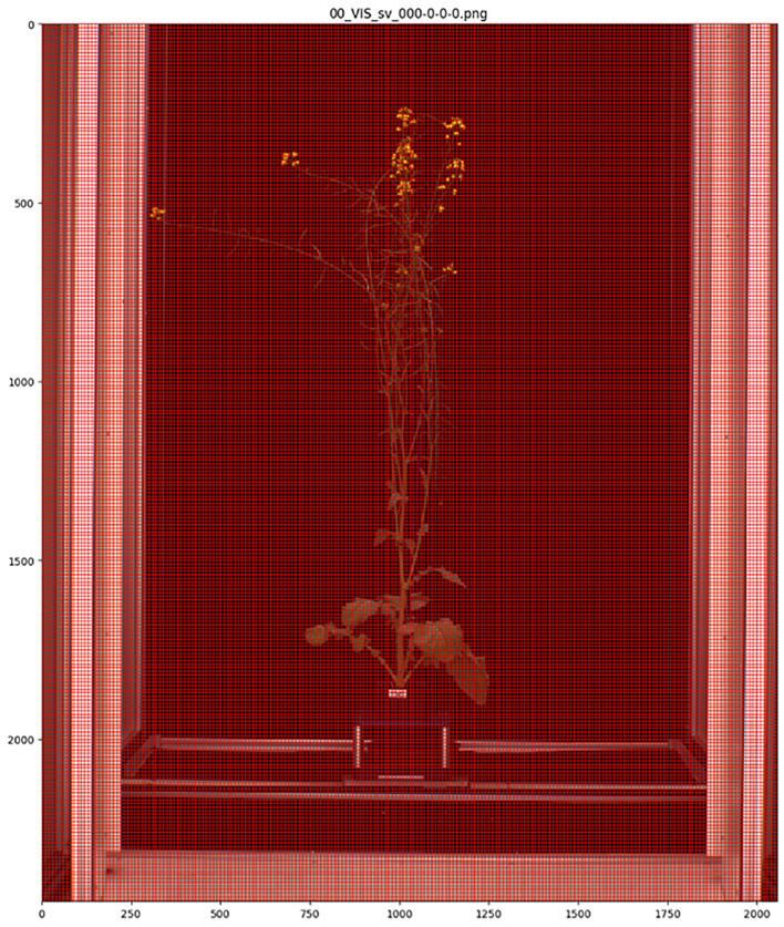 Figure 2