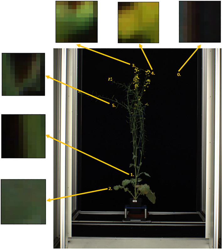 Figure 3
