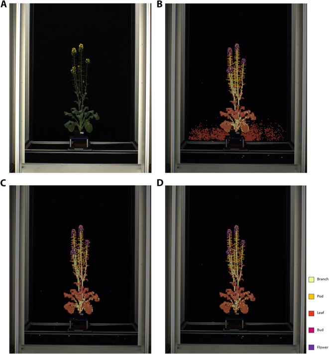 Figure 4