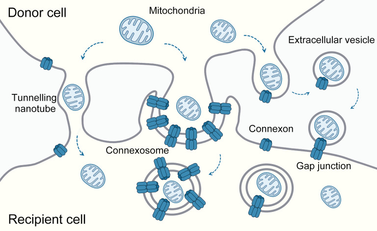 Figure 3