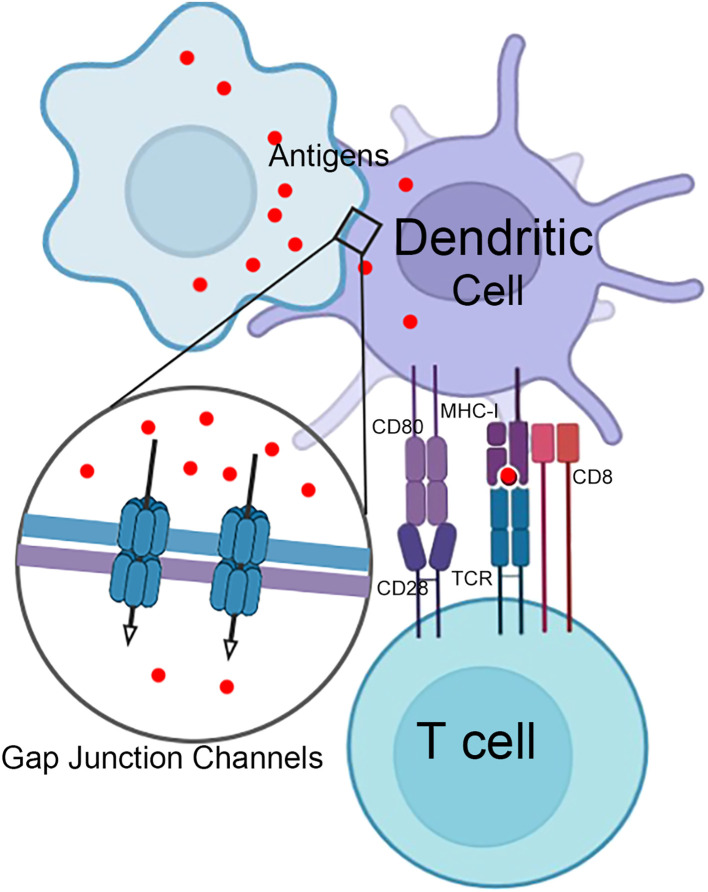 Figure 4