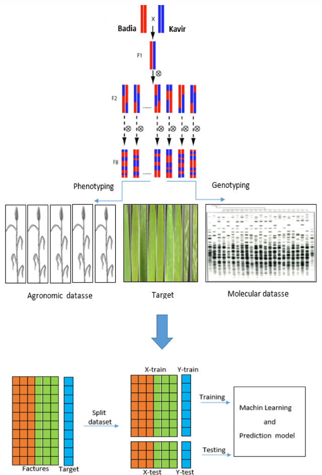 Figure 10