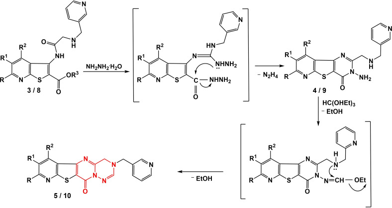 Scheme 4