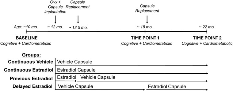 Figure 1
