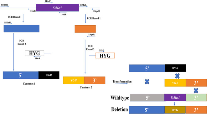 Figure 1