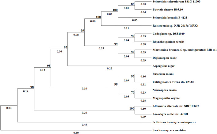 Figure 2