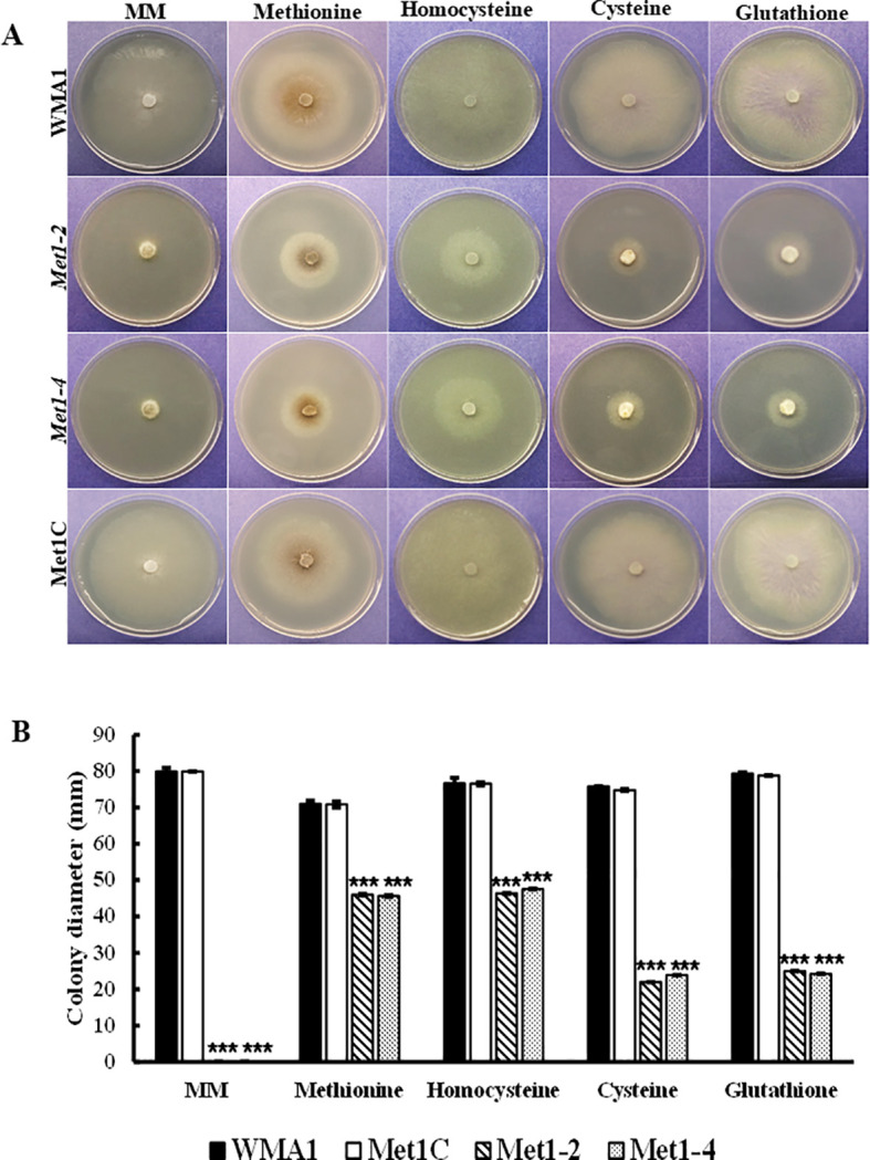 Figure 6