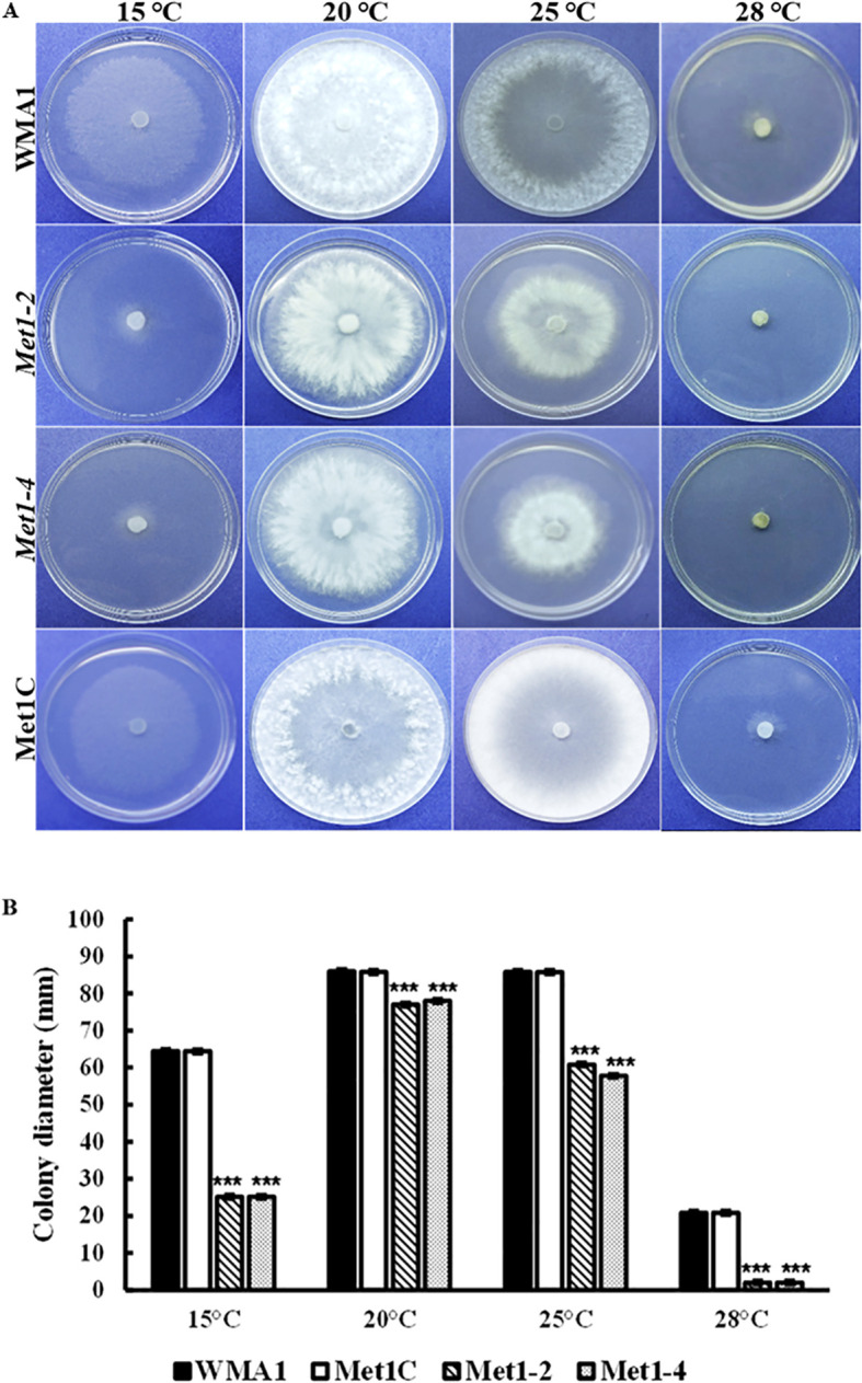 Figure 7
