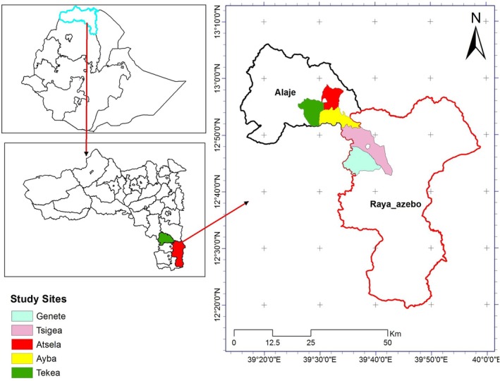 FIGURE 1