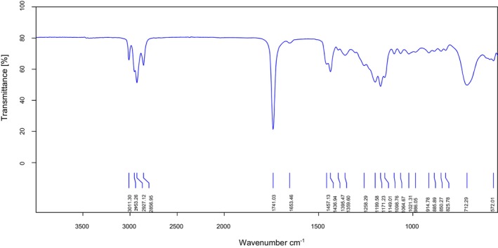 FIGURE 3