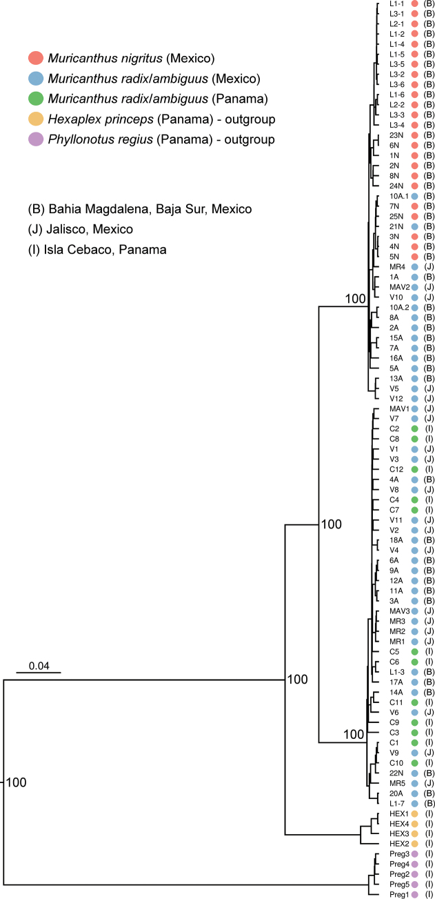Figure 4
