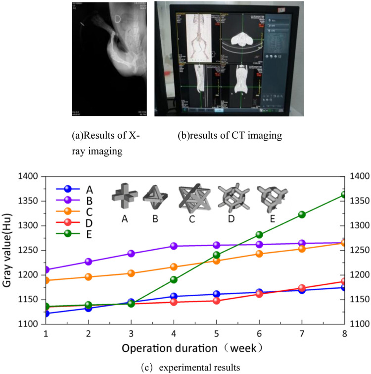 Figure 20