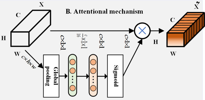 Fig 5