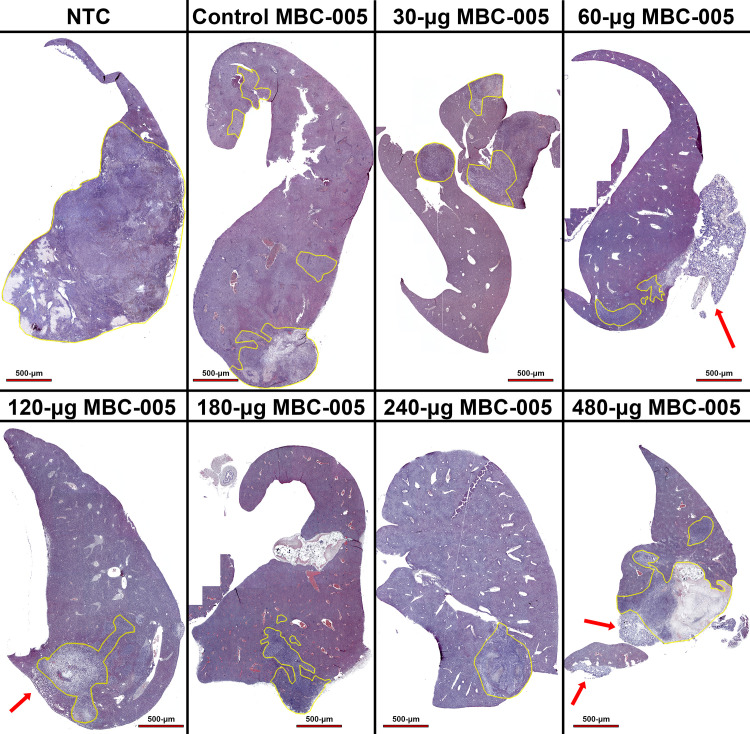 Fig 14