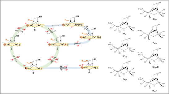Figure 9