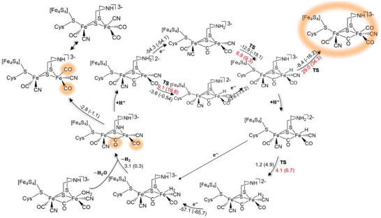 Figure 7
