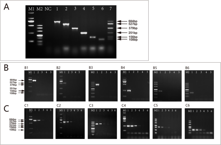 Fig 4