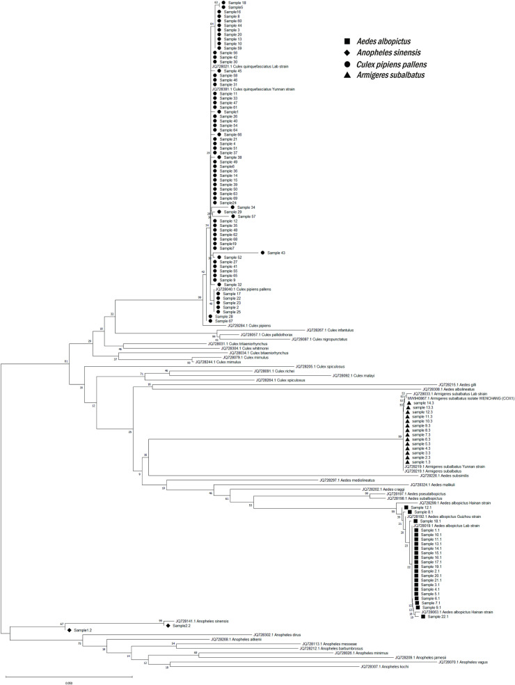 Fig 5