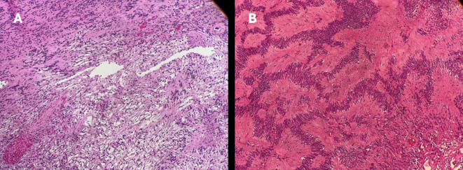 Figure 3