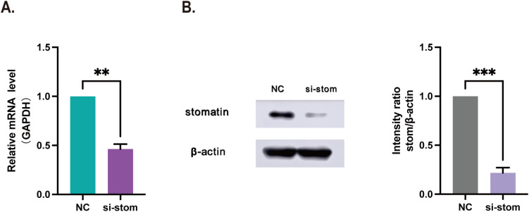 Figure 6