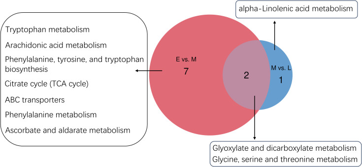 Figure 5