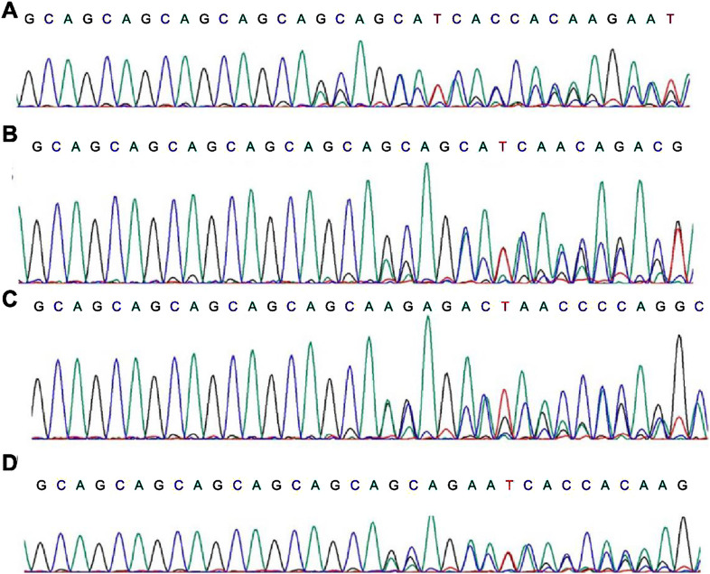 FIGURE 3