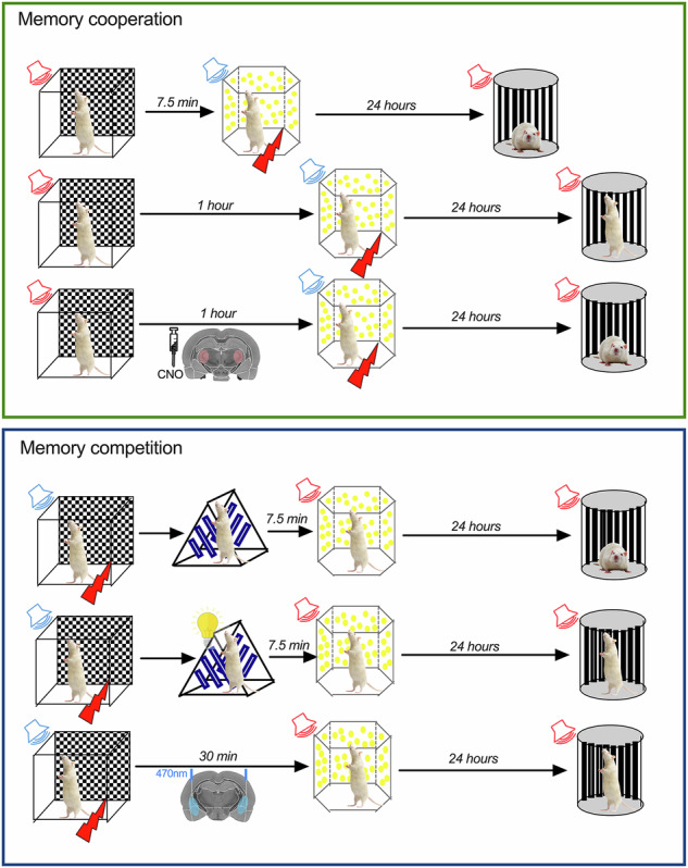Figure 6