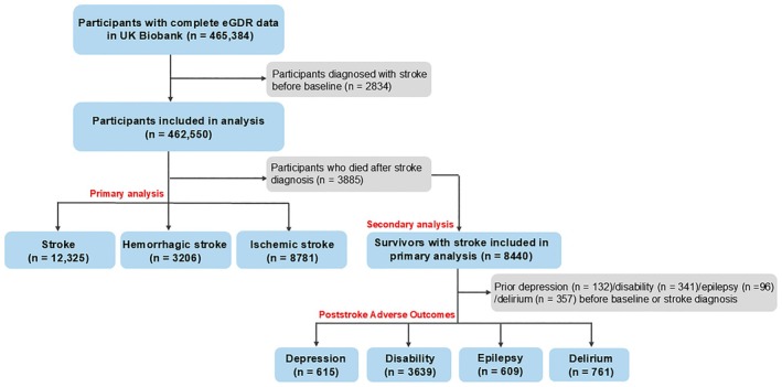 FIGURE 1