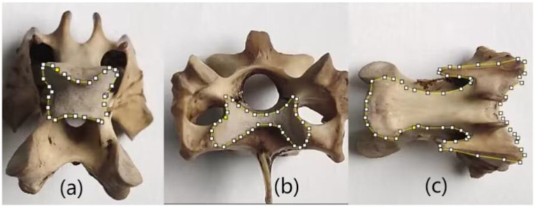 Figure 2