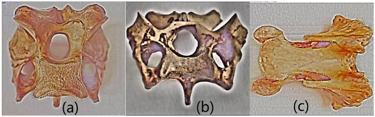 Figure 4