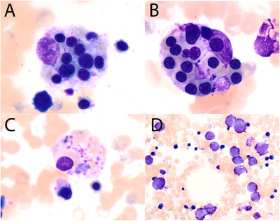 FIGURE 1