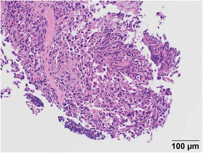 Fig. 2