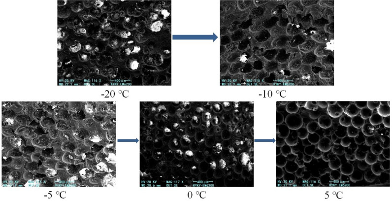 Fig 12
