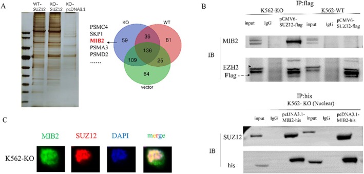 FIGURE 2