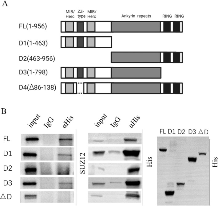 FIGURE 3