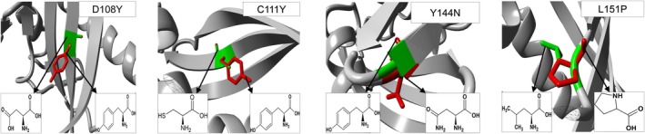 FIGURE 4