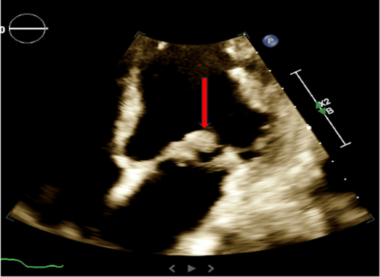 Figure 6