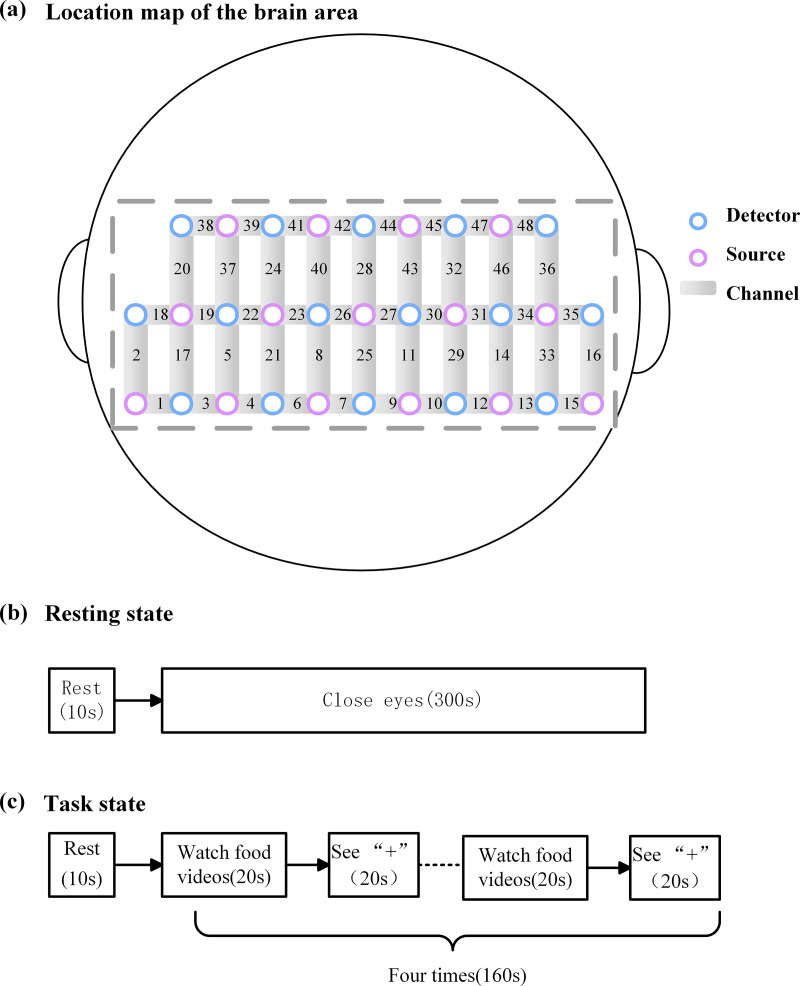 Fig 1