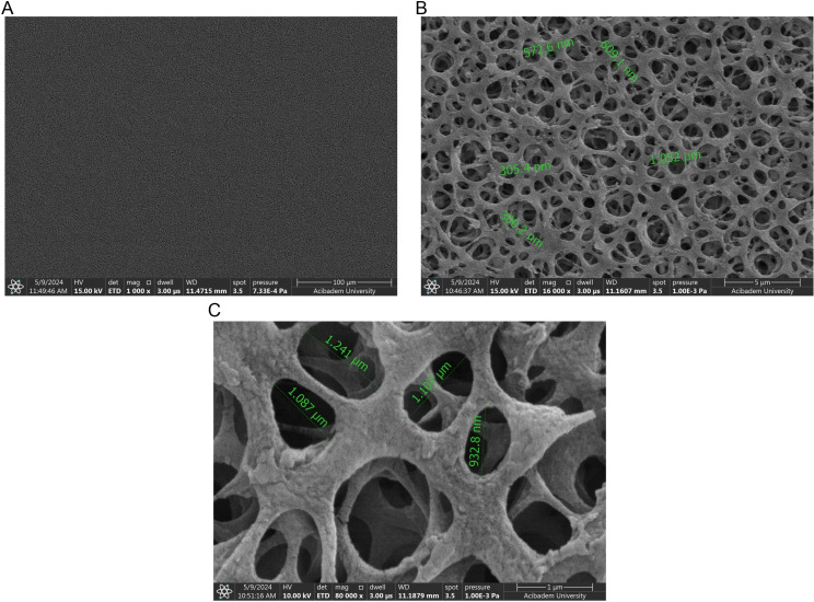 Fig 8