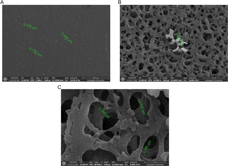 Fig 9
