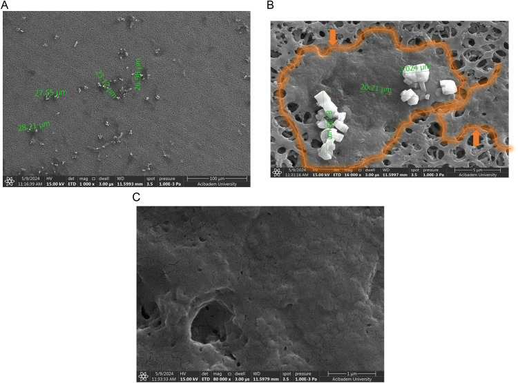 Fig 10