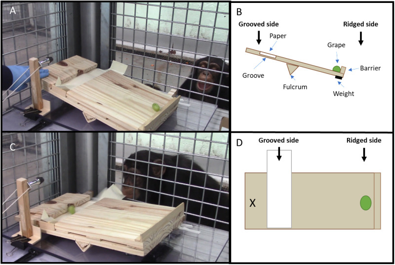 Fig 2
