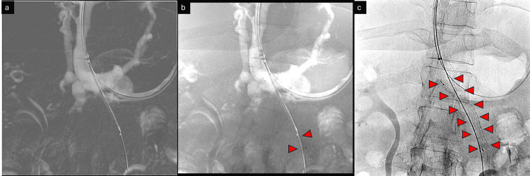 Figure 9